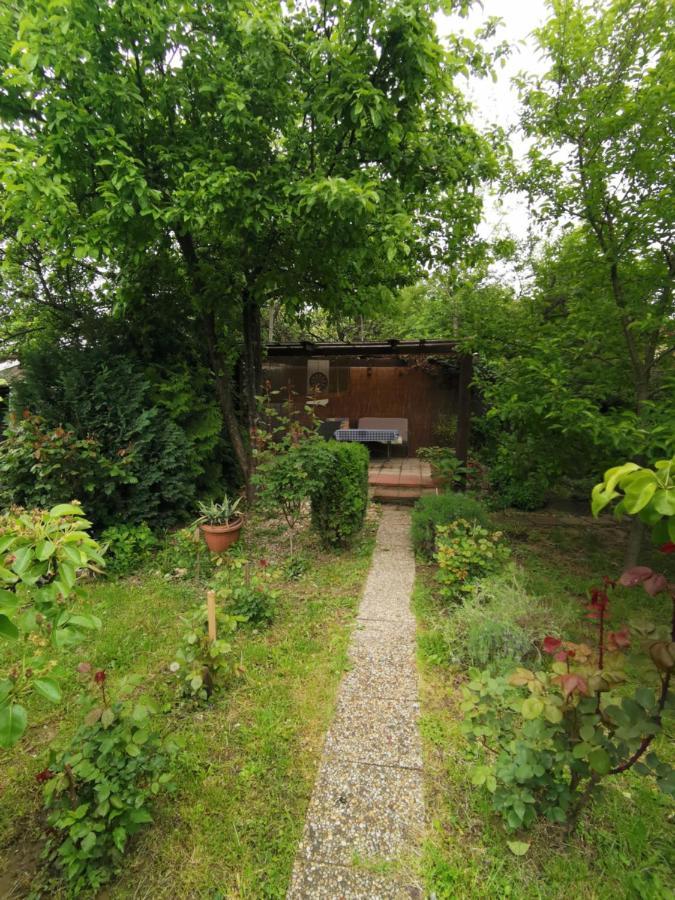 Rodinny Apartman V Dome Košice Exteriér fotografie